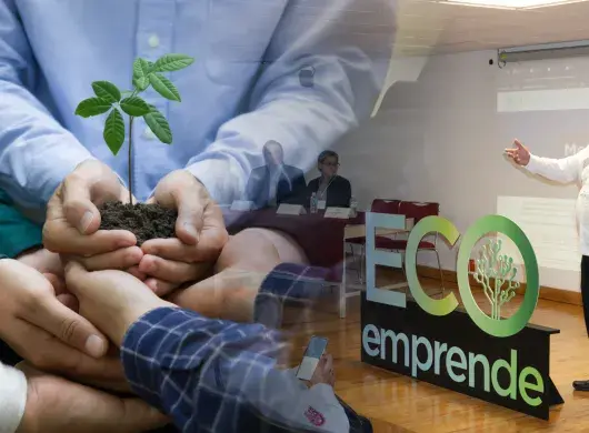 Presentación de resultados EcoEmprende