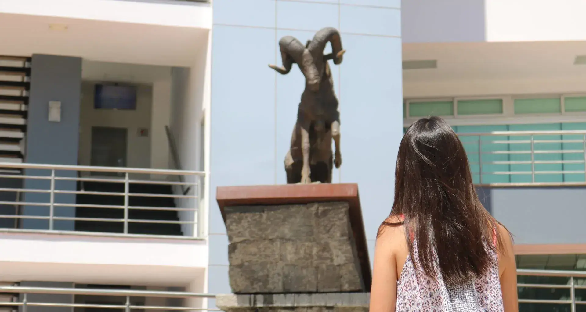 Mujer
