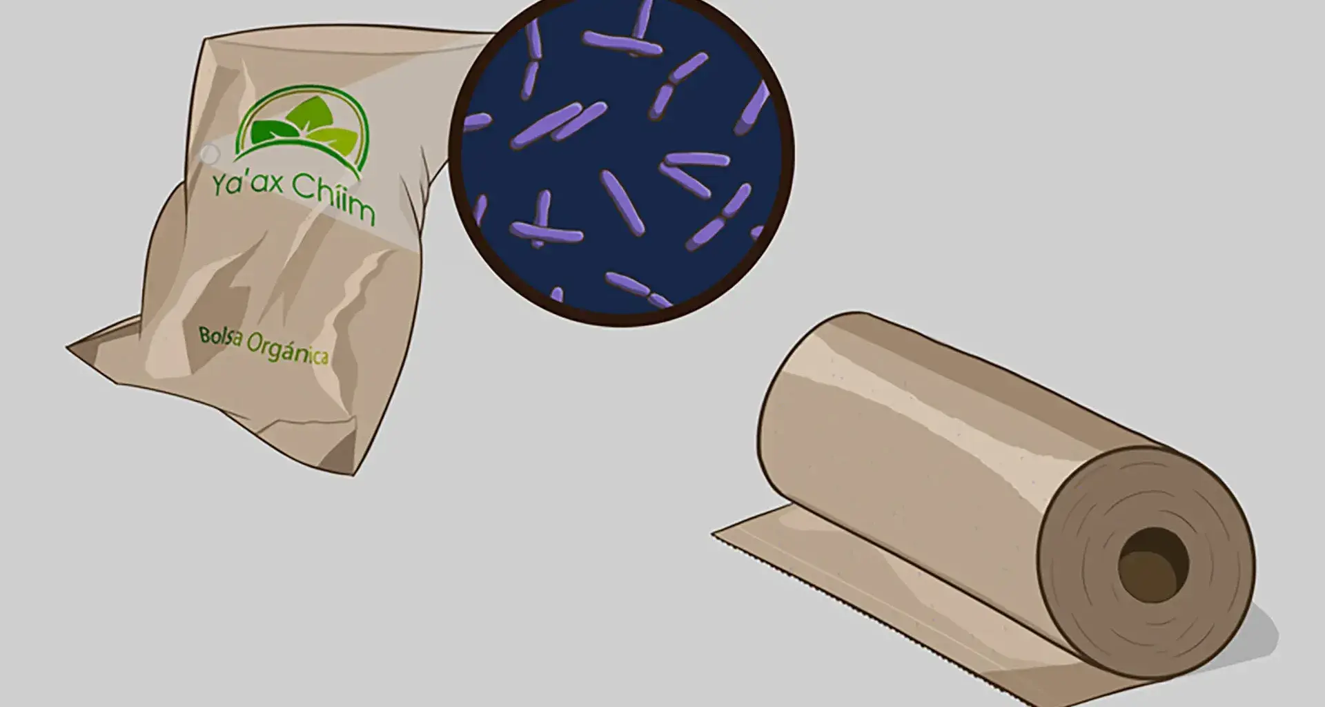 Diseño de bolsa biodegradable