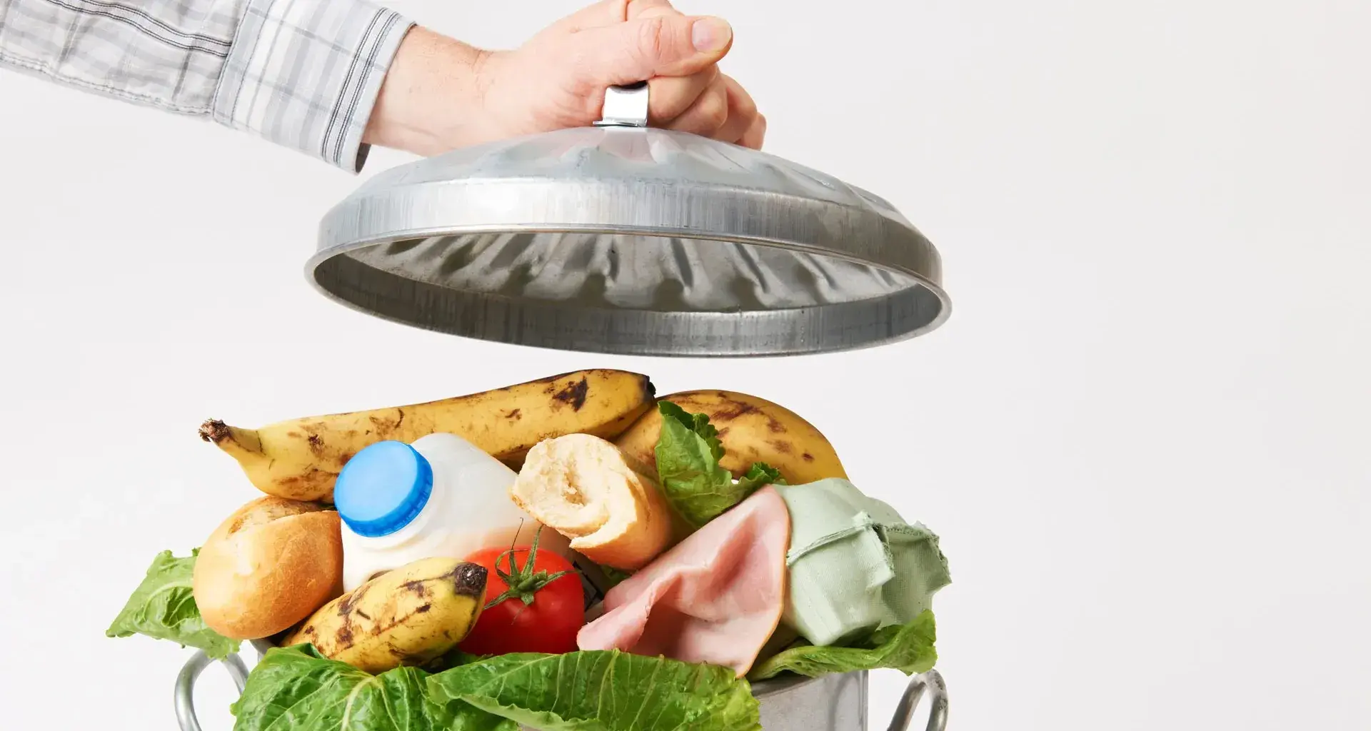 Greeat, primera aplicación en México contra el desperdicio de alimento