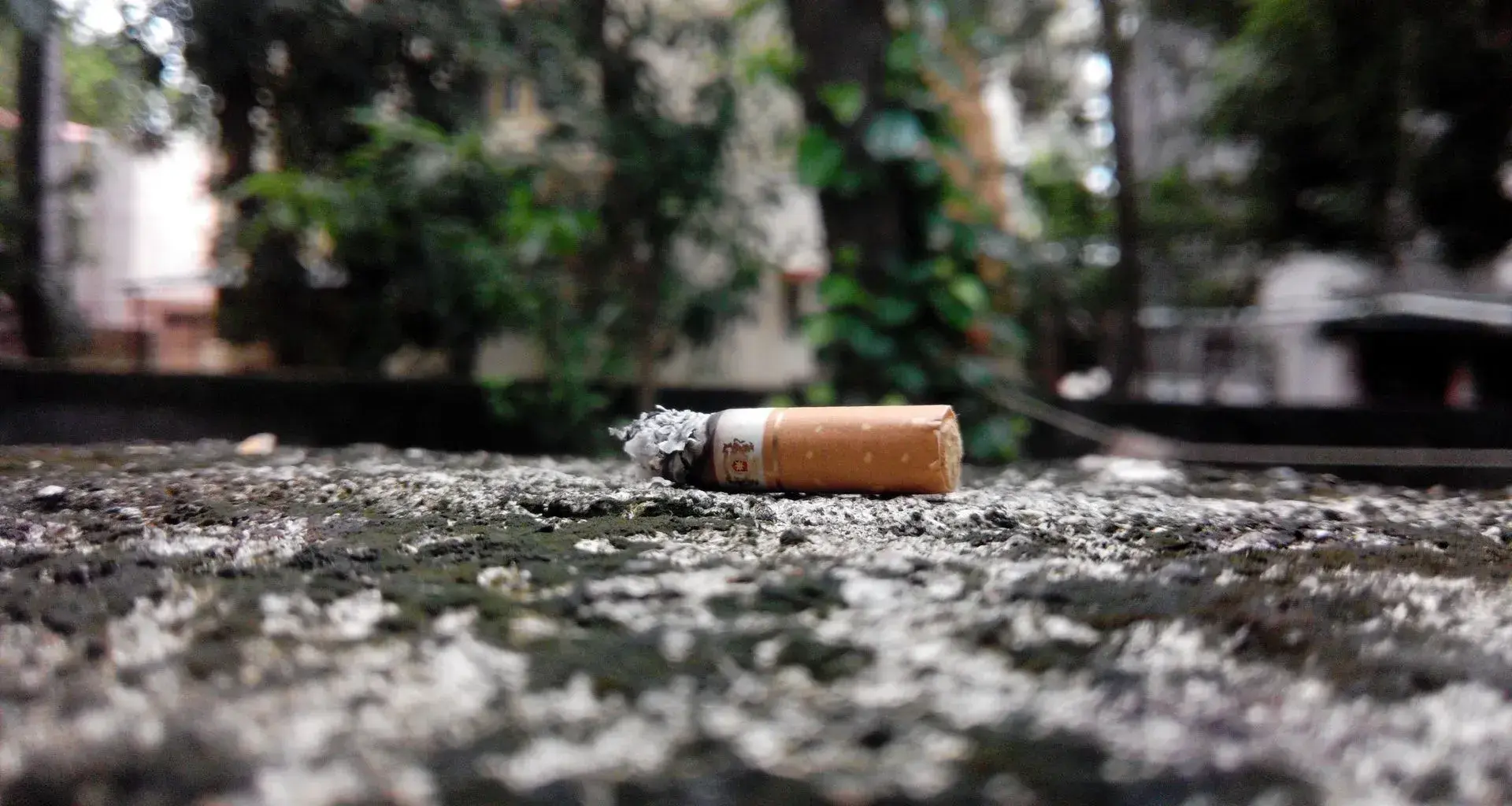 Día Mundial sin Tabaco Tabaquismo Fumar Cigarro