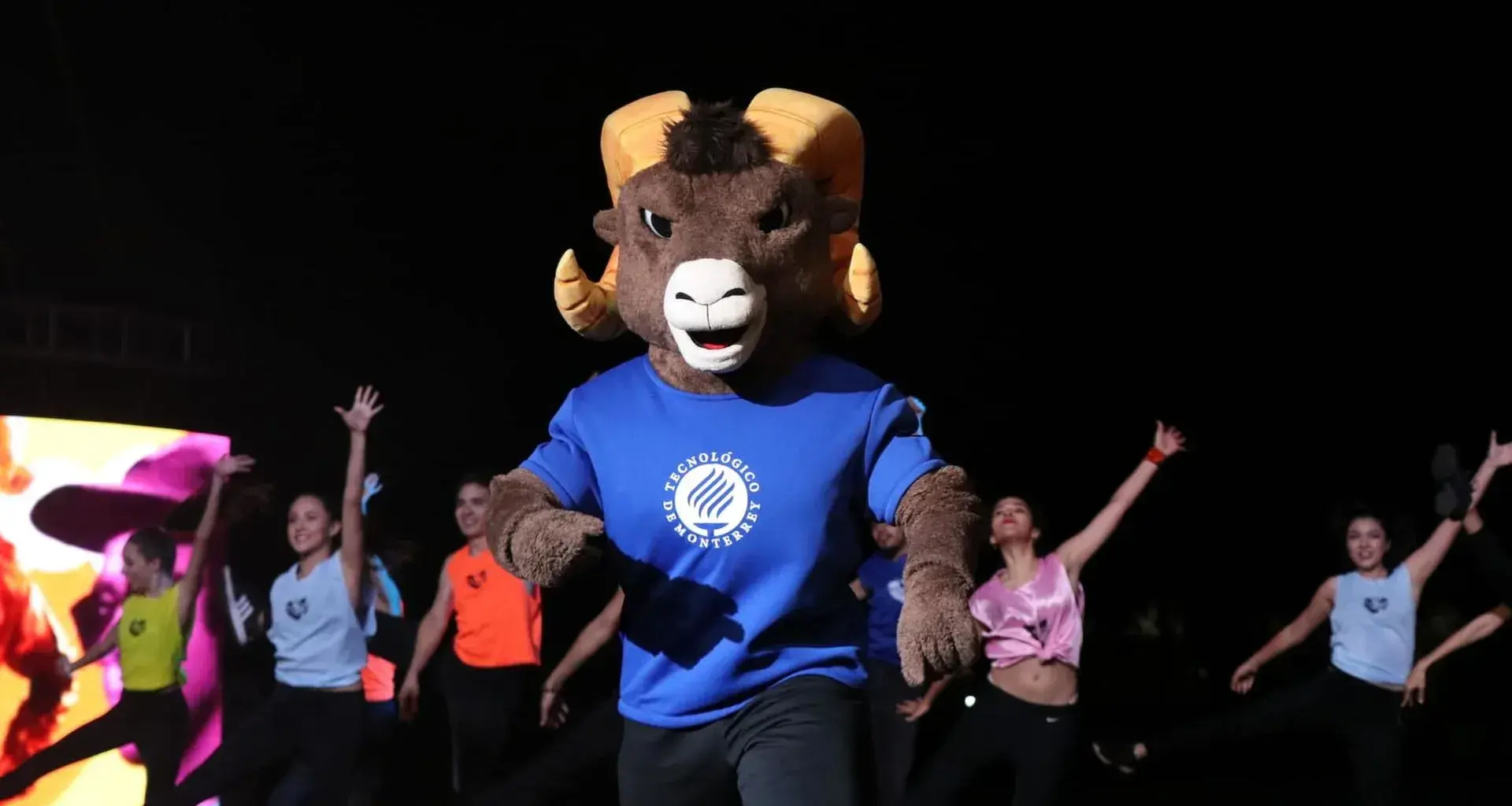 Intercampus 2019
