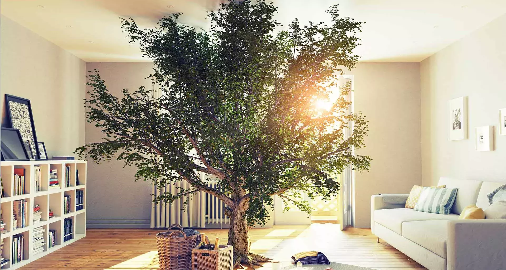 Árbol en el interior de una casa