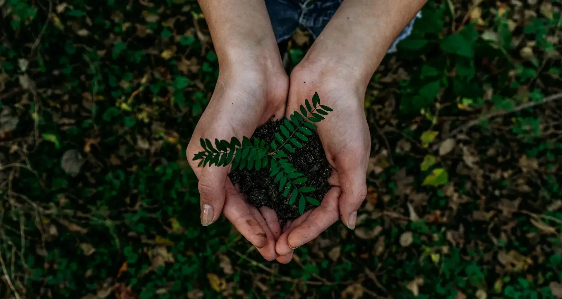 Promesa, la empresa mexicana que cambió la educación ambiental