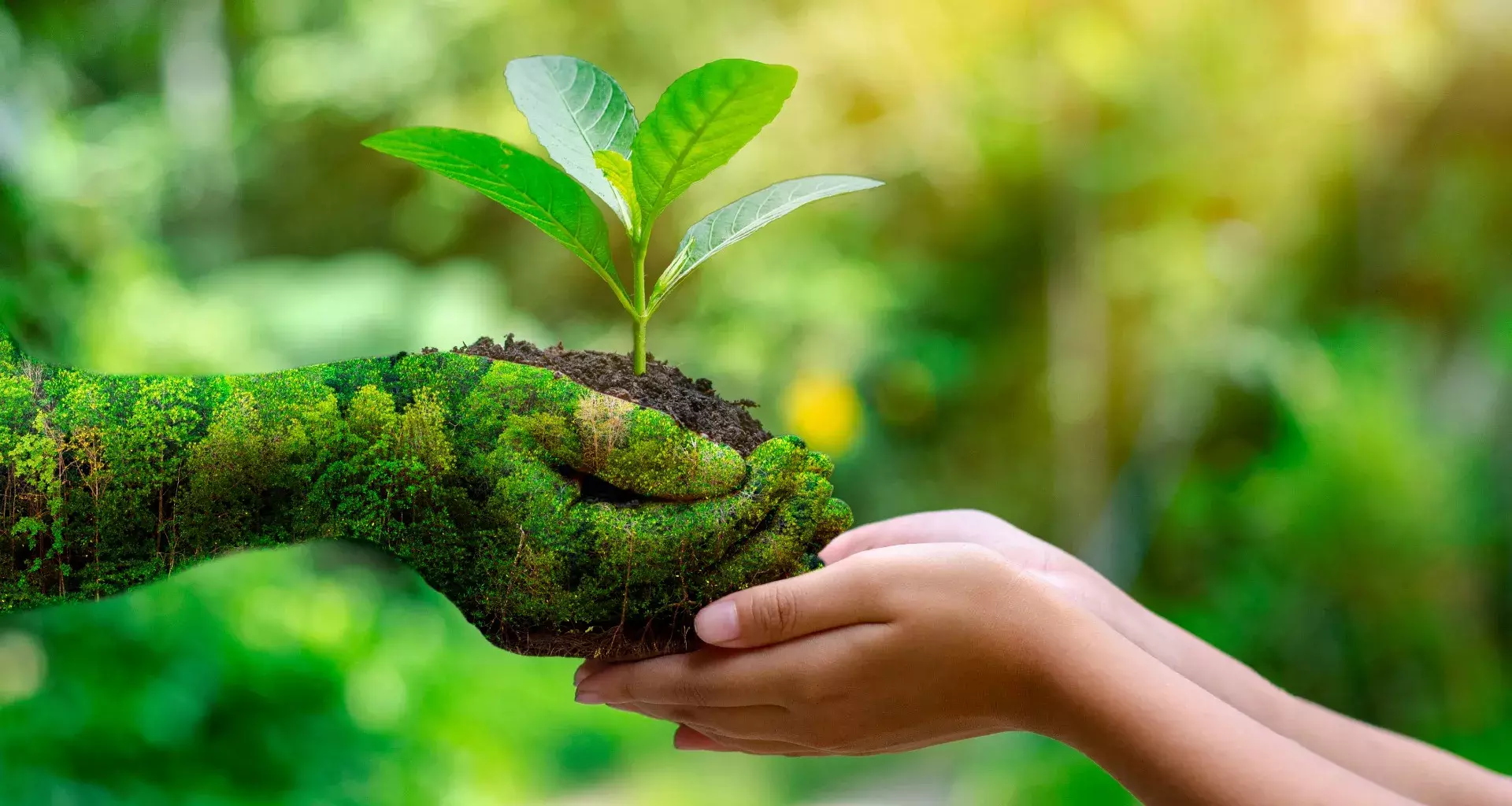 Cómo evitar la sobrecapacidad de la Tierra