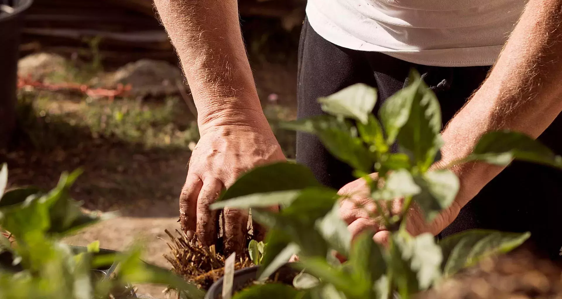 Alumno Tec crea BioYum, empresa en pro de la agricultura sustentable