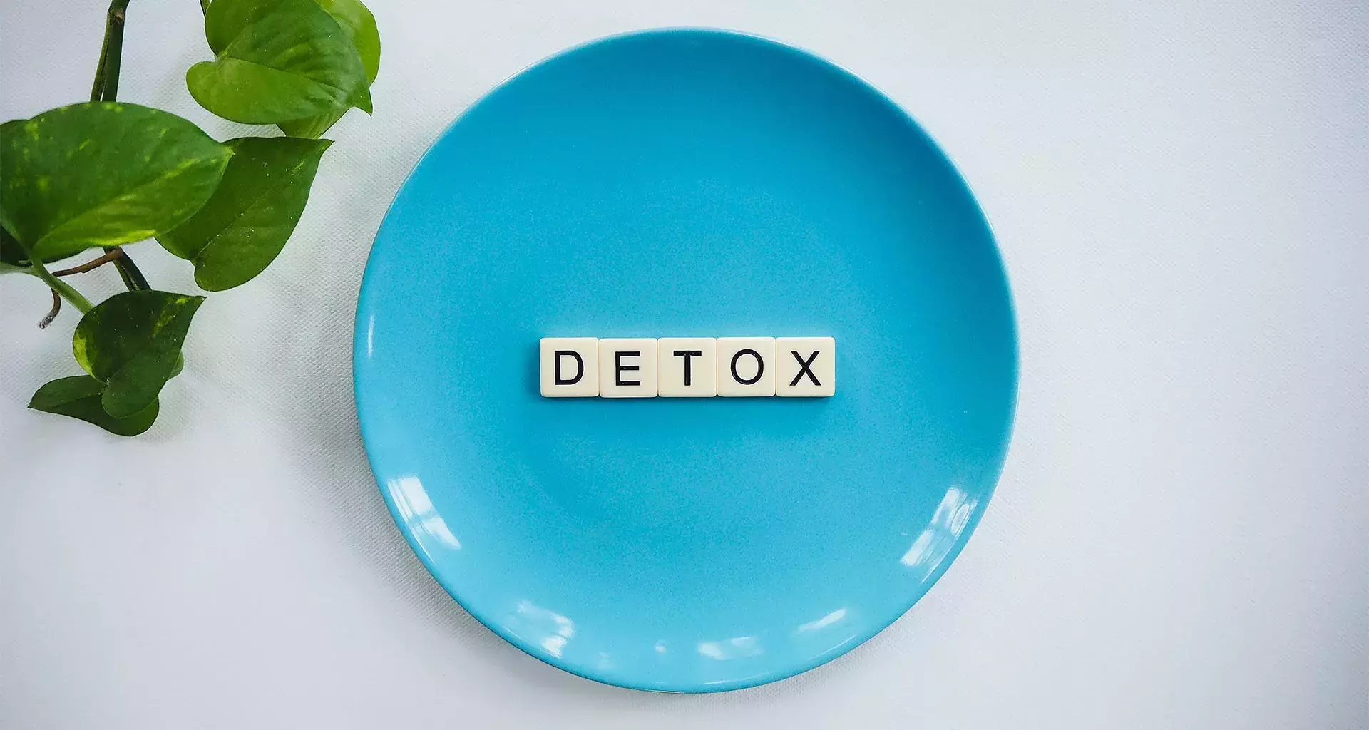 Plato azul con la palabra "detox" dentro