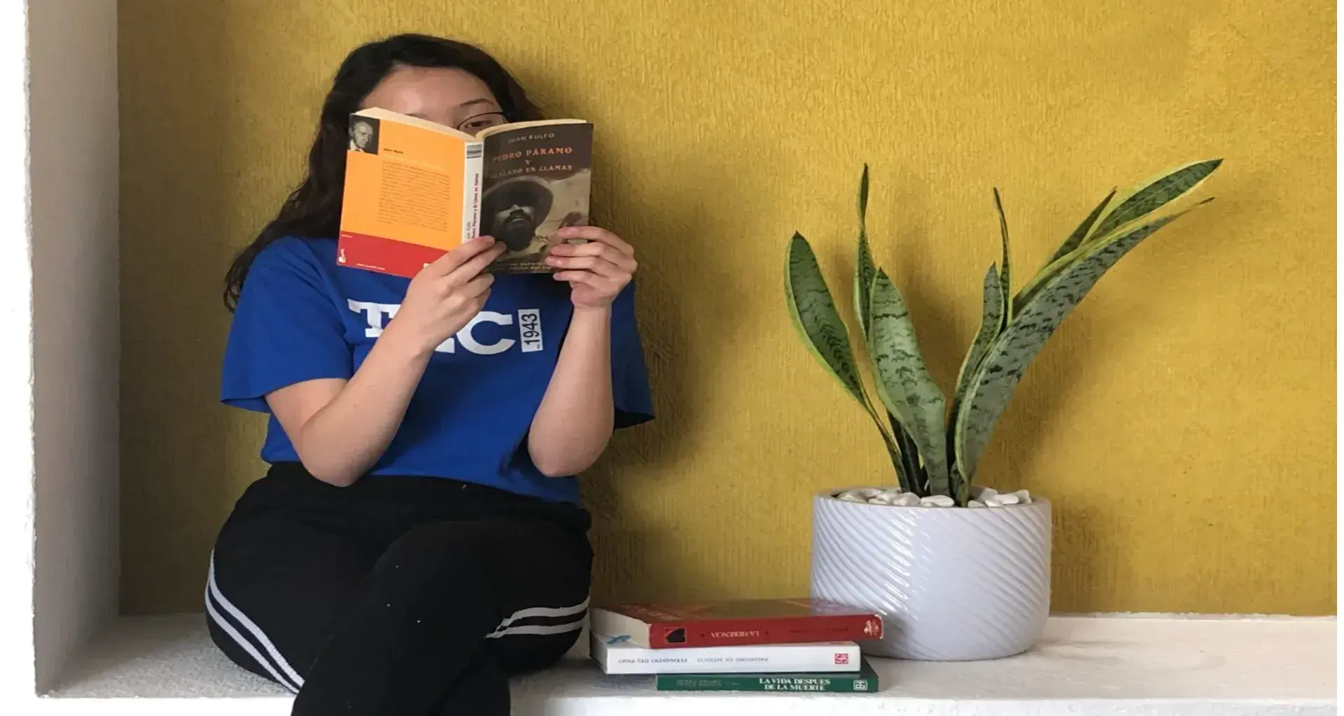 Diez libros que marcaron a México