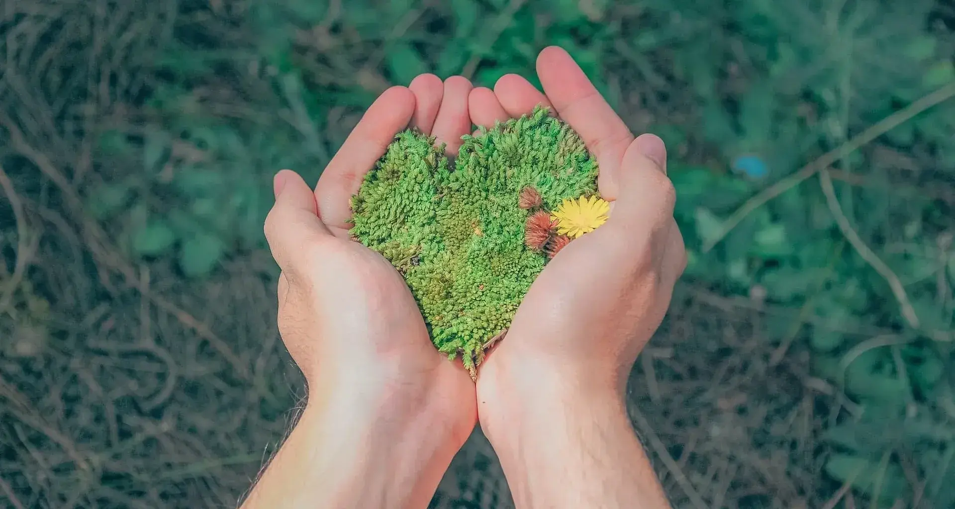Cuidar el medio ambiente es responsabilidad de todos