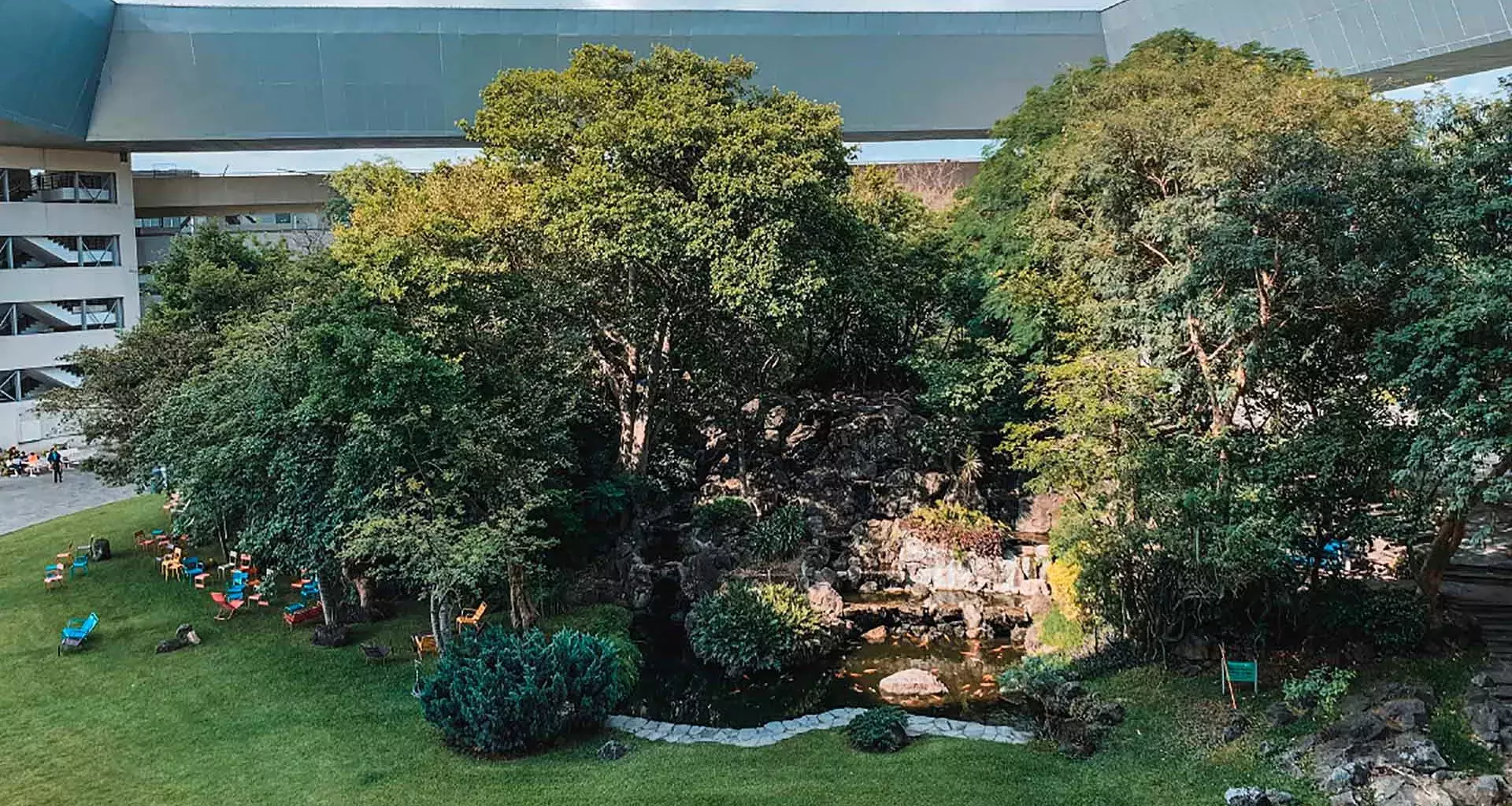 Conoce el Bosque Mágico del Tec campus Cuernavaca en medio del edificio principal