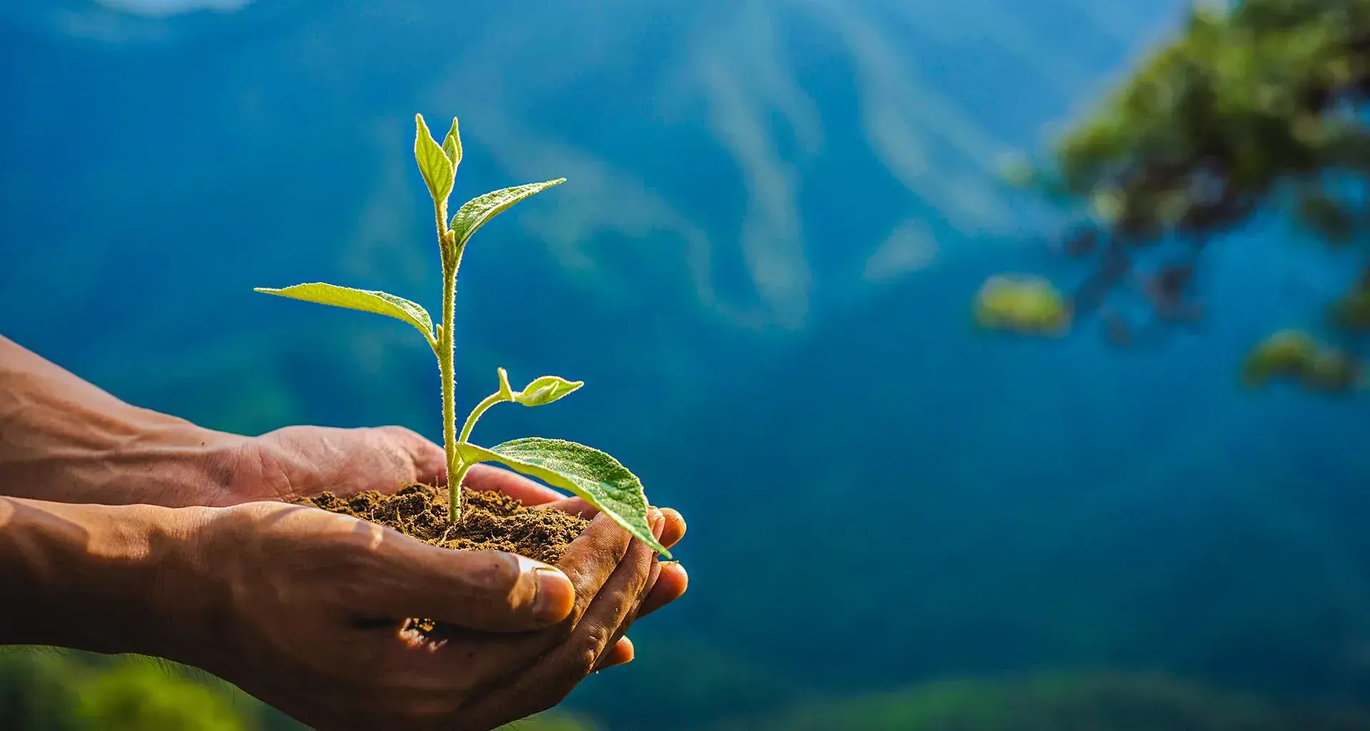 Un profesor investigador del Tec de Monterrey trabajó en un informe climático en el que se advierte la necesidad de tomar acciones contra la crisis climática