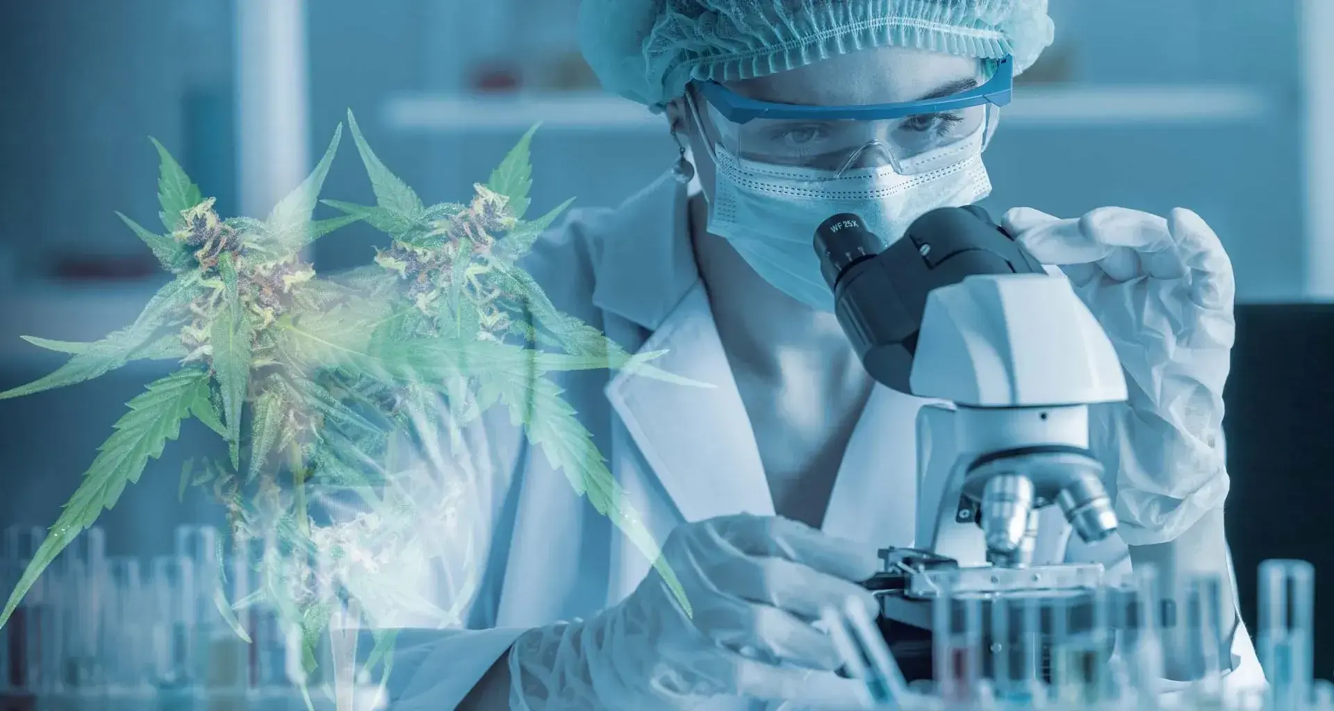TecSalud realiza estudio con CBD para tratar secuelas COVID
