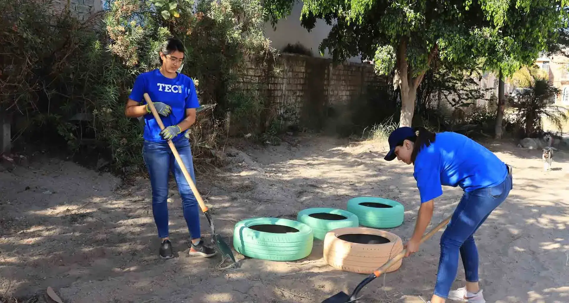 grupo estudiantil B Eco, renuevan parque urbano en zapopan, labor social. 