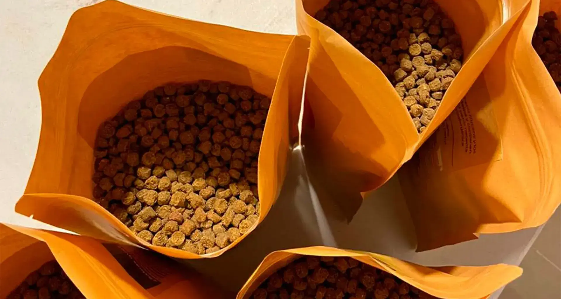 Estudiante Tec crea alimento sustentable para mascotas