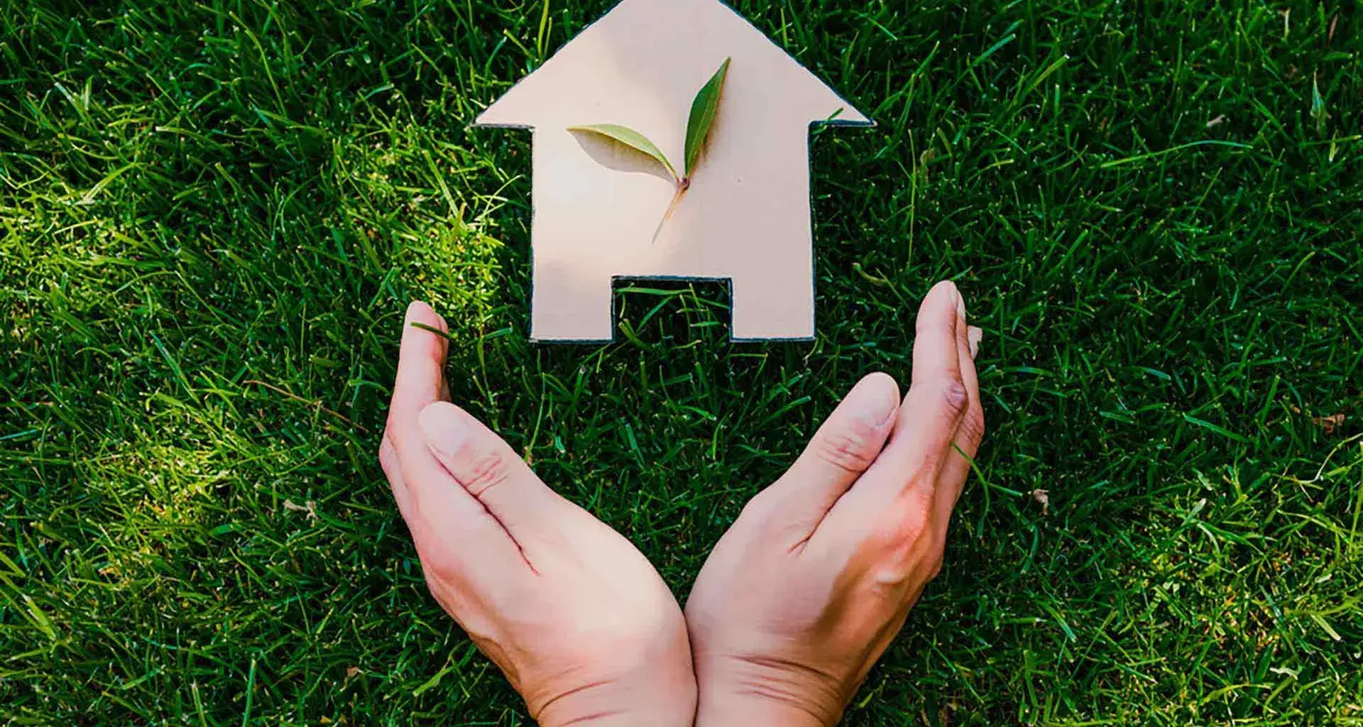 Con proyectos sustentables alumnos Tec ganaron Xignux Challenge 2023