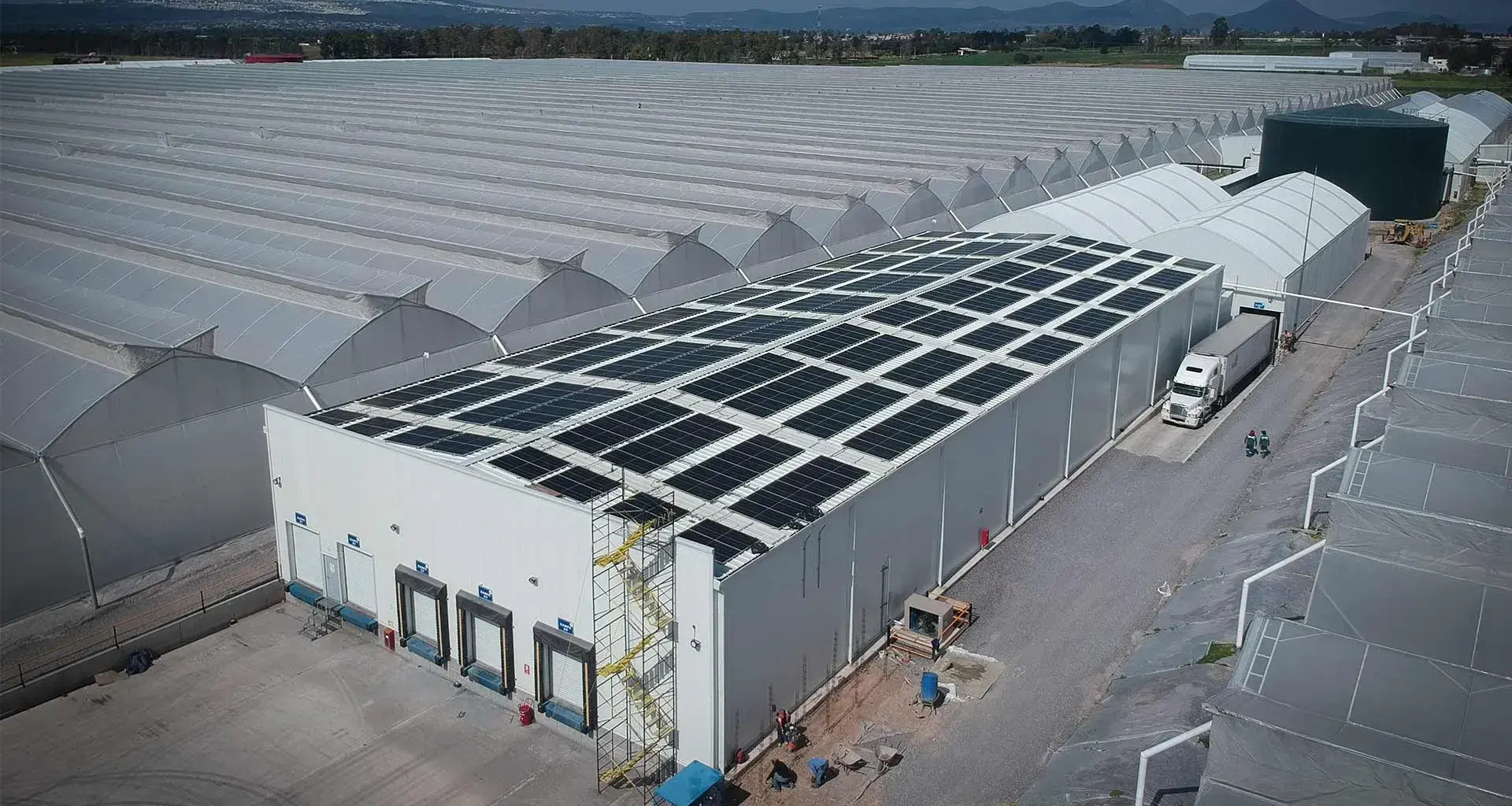 Exatec desarrolló planta energética mediante incineración de residuos