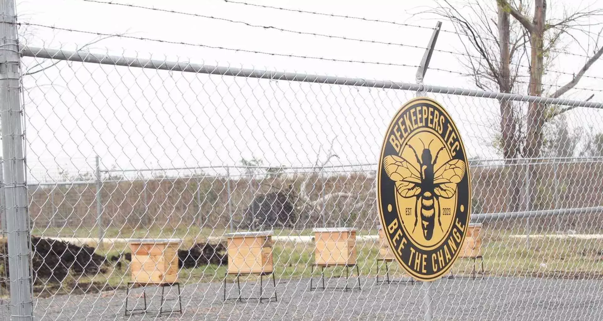 Tec campus Querétaro inaugura Beekeepers Tec, un apiario estudiantil donde se trabajan con abejas mieleras.