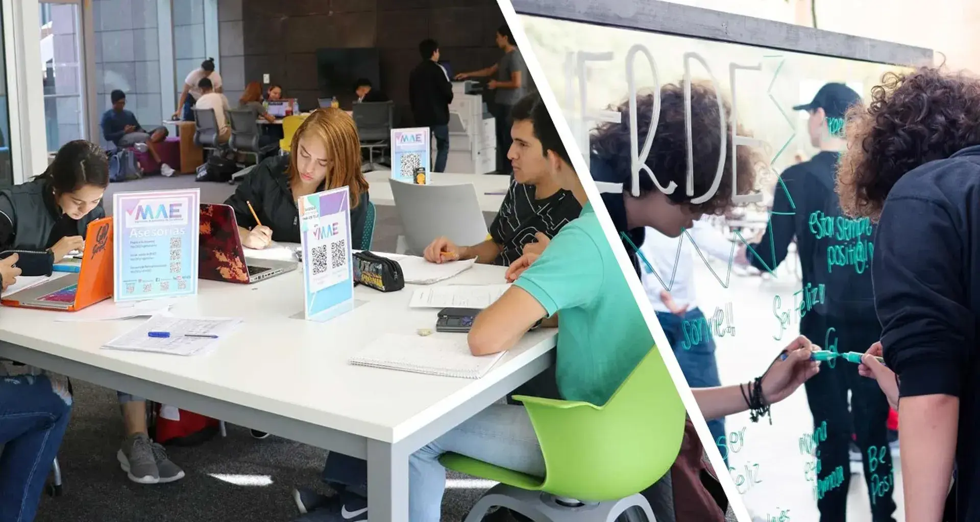Los formadores LiFE se distinguieron por sus trabajos como mentor estudiantil y coordinación de actividades en PrepaTec Santa Catarina.