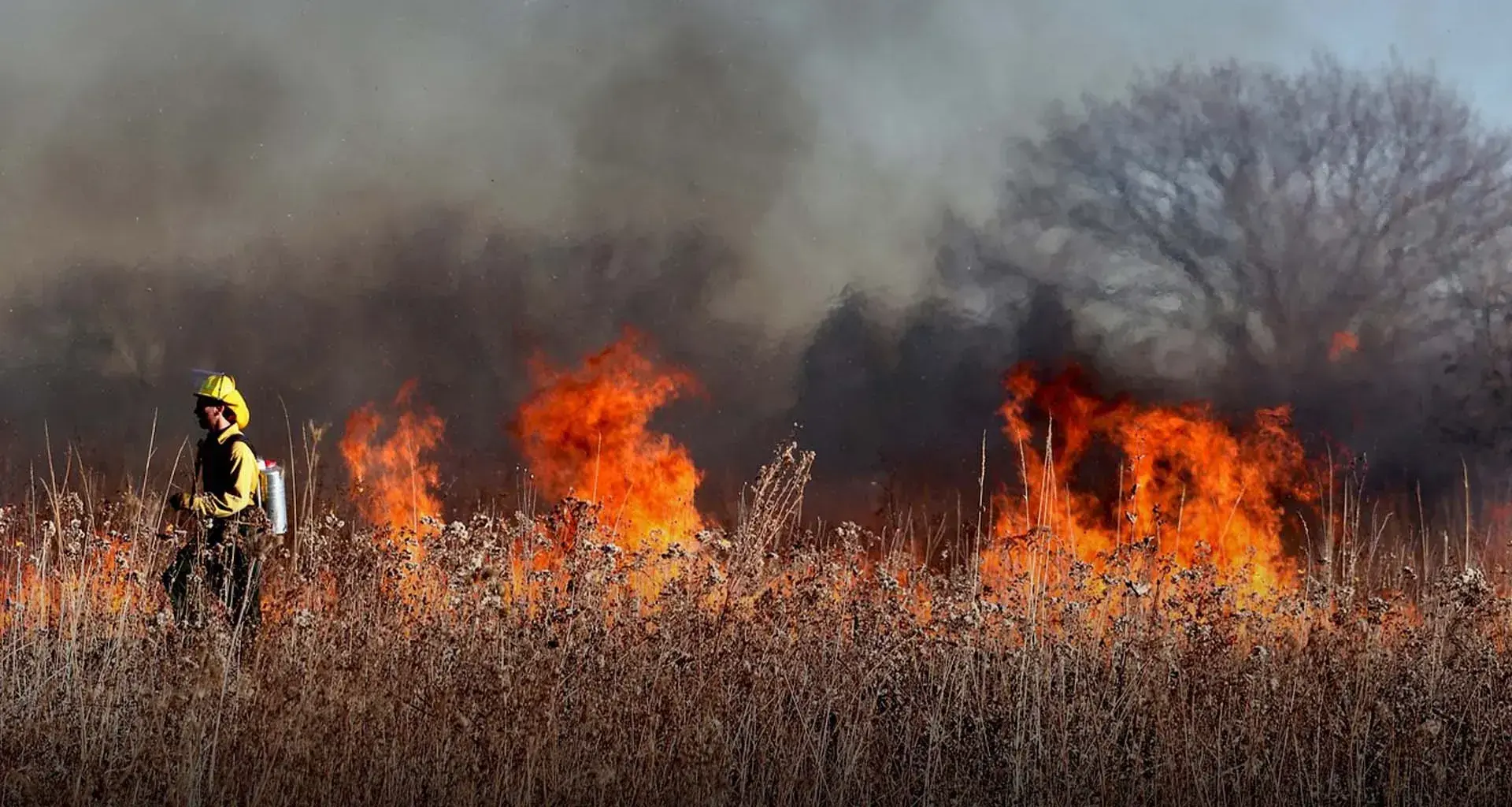 Bombero frente a incendio forestal