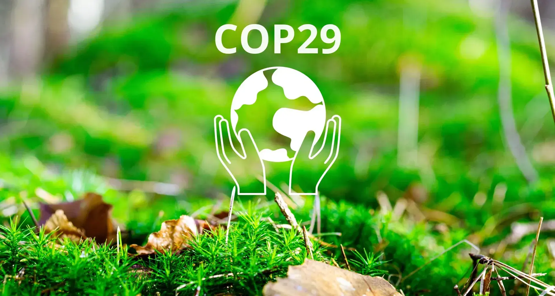 COP 29: Tec community highlights actions at global climate summit
