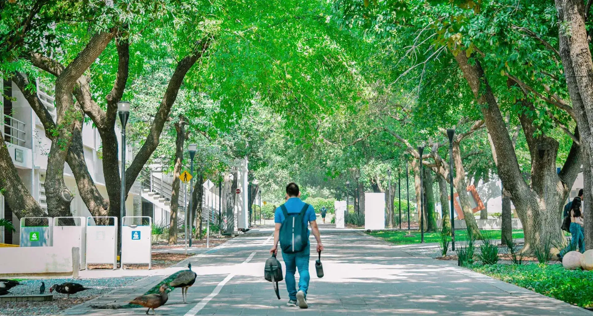 Tec de Monterrey, Monterrey campus