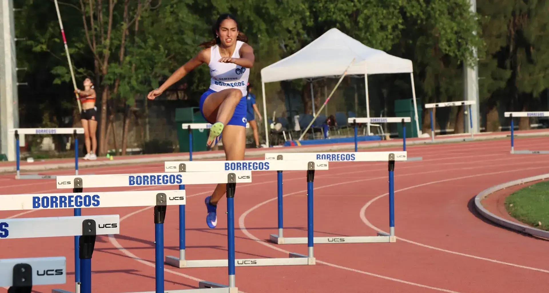 Borregos MTY en nacional de Atletismo ¡39 medallas!