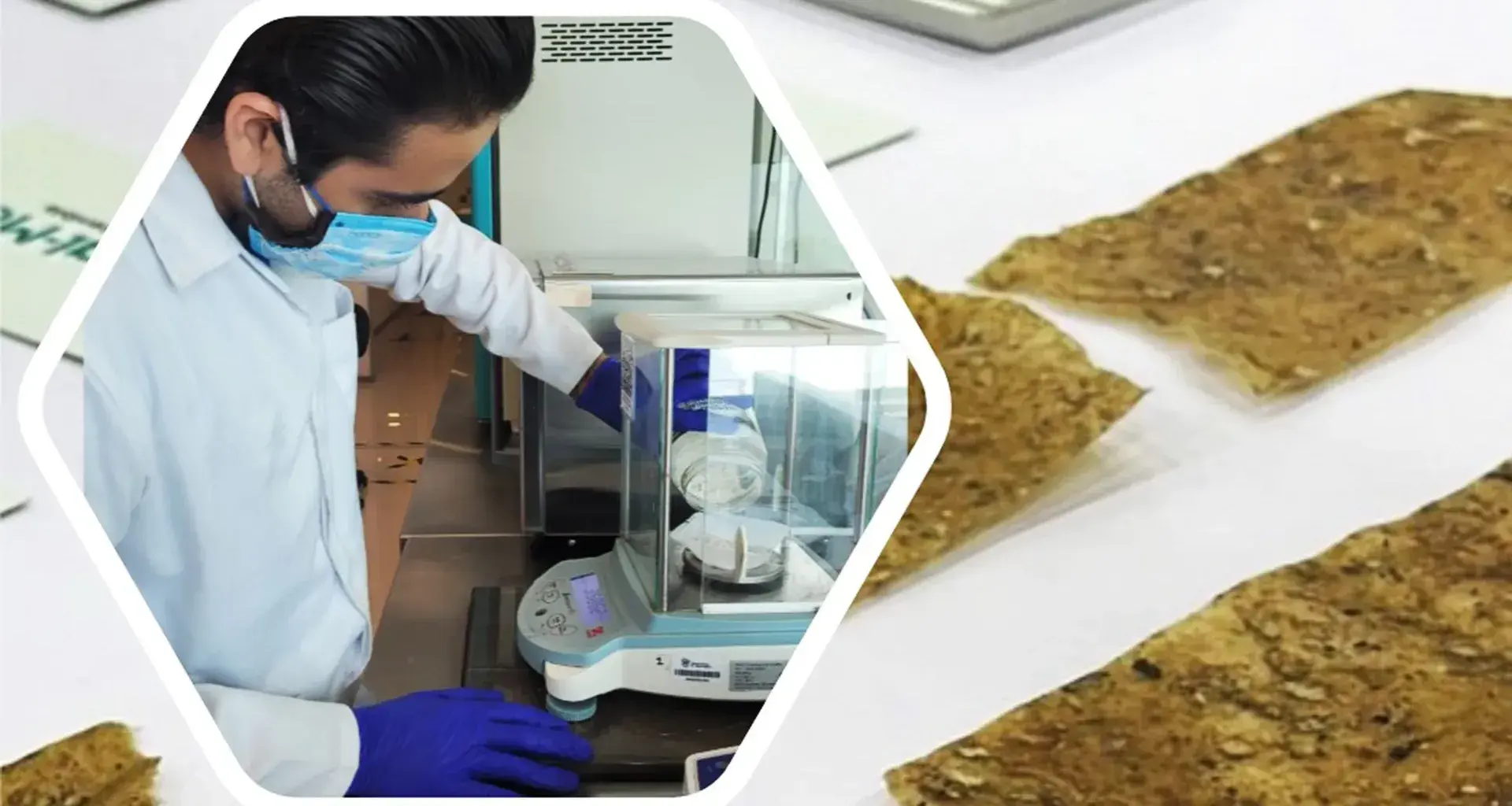 CeluNova, Tec de Monterrey.