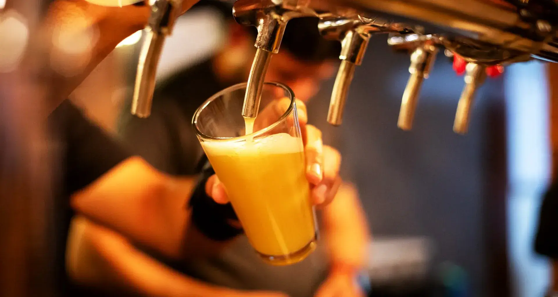 Proceso de servir cerveza en Cisne Negro