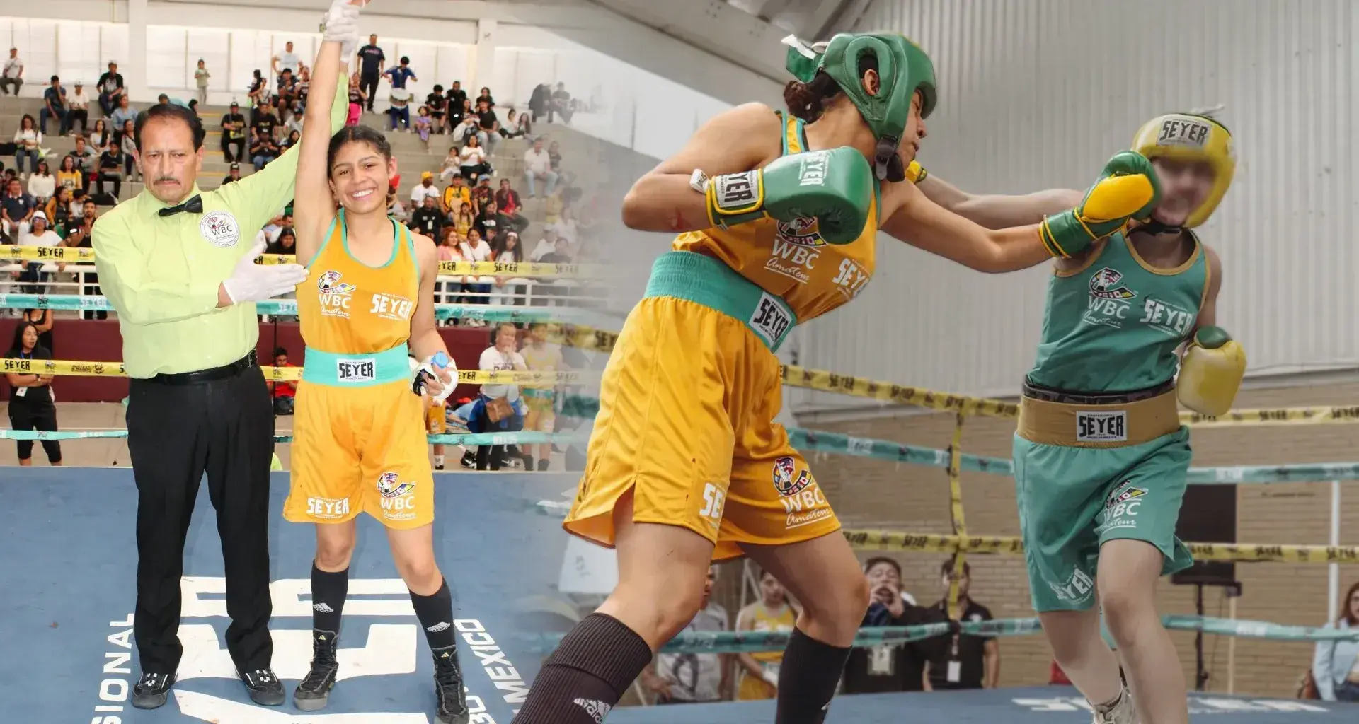 Camila Jiménez es campeona nacional de boxeo