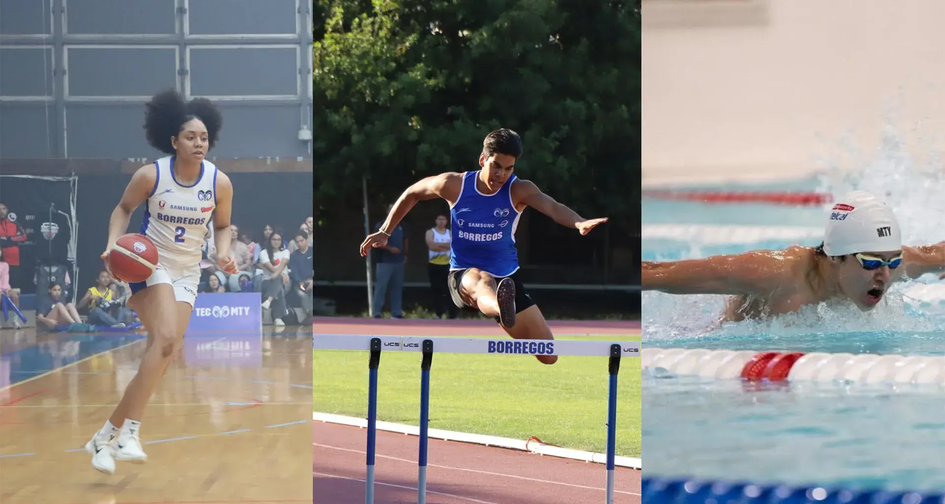 ¡Poder Borrego! 12 deportistas del Tec irán a Panamericanos Junior 