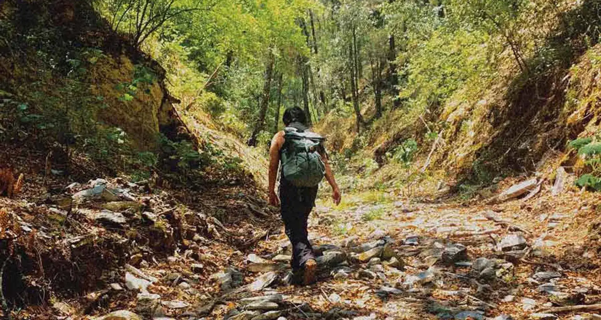  EXATEC de Arquitectura formó parte del equipo del Tec que presentó una iniciativa de “laboratorios vivos” en la Bienal de Venecia. 