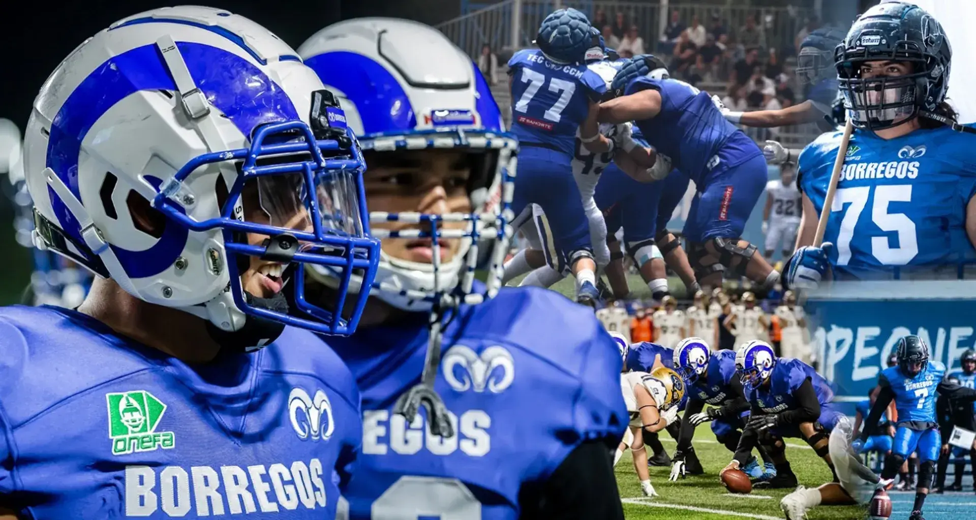 ! Borregos Tec inician temporada 2025 de Liga Mayor