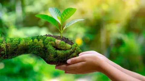 Capacidad de la Tierra: ¿Qué hacer para no sobrepasarla?