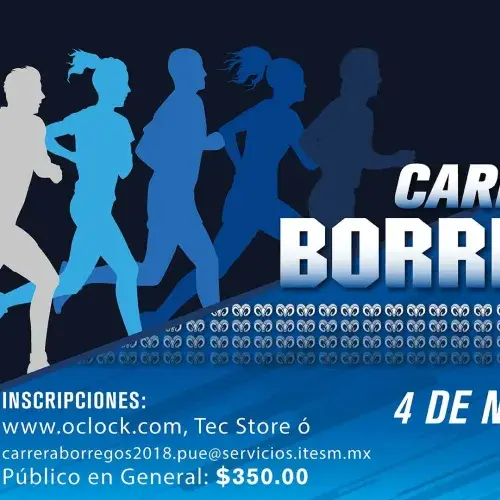 Participa, diviértete y apoya