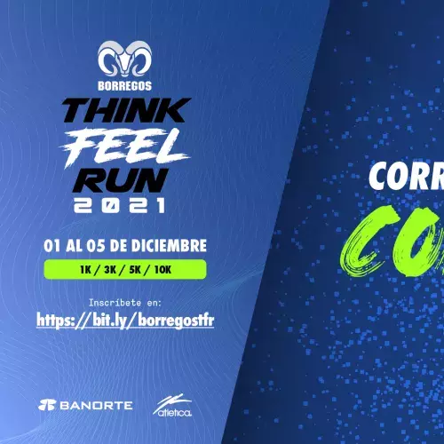 Carrera Borregos Think Feel Run