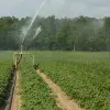 agricultura sustentable vs tradicional