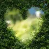 Corazón formado por un arbusto (Photo by Alena Koval - Pexels)