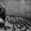 Profesor gana premio de fotografía y representará a México en mundial