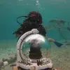 Alumna del Tec impulsa proyecto de siembra de coral en Cozumel
