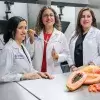 Investigadores del Tec incrementan el valor nutricional de la papaya