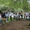 ÁrbolFraternidad