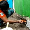 Mural interactivo
