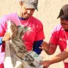 Voluntarios del Tec de Monterrey dan su tiempo y esfuerzo en ayuda de los demás