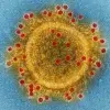 Coronavirus investigado por científicos del Tec de Monterrey