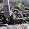 Crea fertilizantes orgánicos que reducen contaminantes en cultivos