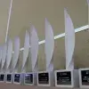 Premio Mujer Tec 2020 galardón a mujeres innovadoras que transforman su entorno