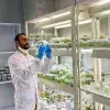 Investigador del Tec clona con éxito en universidad de Querétaro