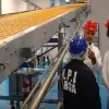 Emprendedores de Clevot muestran su innovación en materia de limpieza industrial de bandas transportadoras.