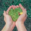 Cuidar el medio ambiente es responsabilidad de todos