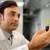 El proyecto es liderado por el profesor investigador del Tec campus Querétaro Ashutosh Sharma junto con la empresa Materra Forestal de Querétaro.